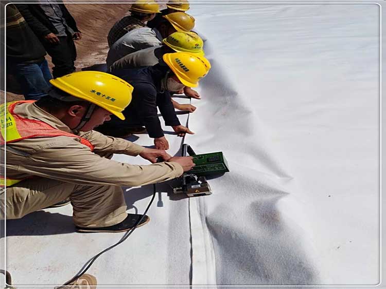 复合国内精品久久久久久久影视麻豆膜在红旗河工程应用所向披靡