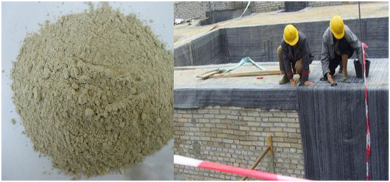 寒旱地区麻豆视频APP在线下载颗粒分布