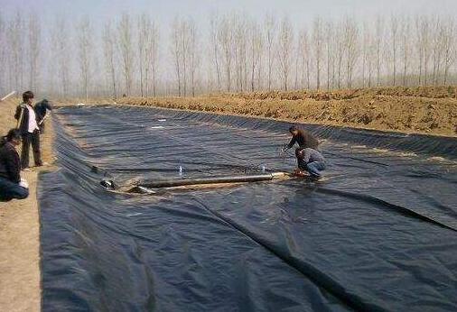 复合国内精品久久久久久久影视麻豆膜在红旗河工程应用 所向披靡