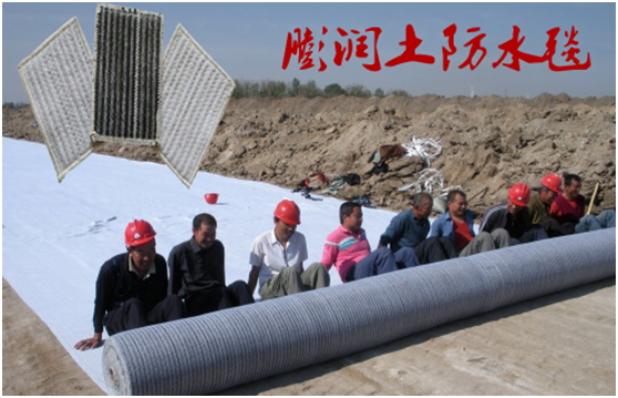 钠基麻豆视频APP在线下载进入工地的技术规程体现