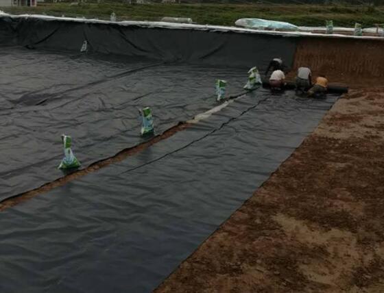 国内精品久久久久久久影视麻豆膜材料选择几点建议