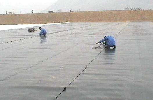 山东麻豆视频网址在线观看国内精品久久久久久久影视麻豆膜与下面垫层之间的平面滑动稳定性