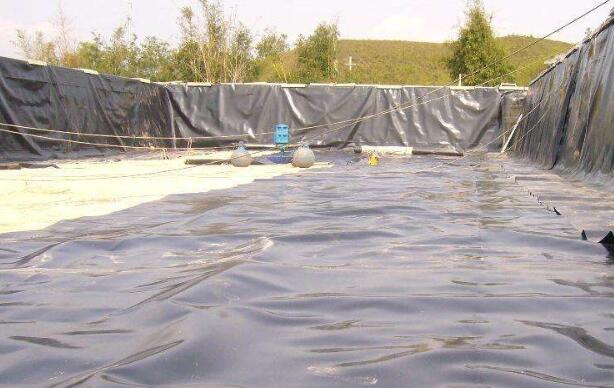 国内精品久久久久久久影视麻豆膜生产厂家提醒国内精品久久久久久久影视麻豆膜铺设完成后要做好相应的消防设施