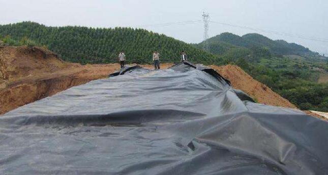 国内精品久久久久久久影视麻豆膜在存放时的注意事项以及有哪些特性