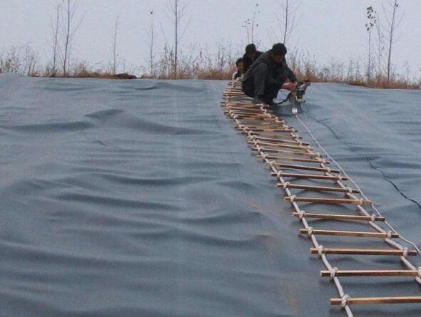 辨别国内精品久久久久久久影视麻豆膜质量好坏的方法有哪些