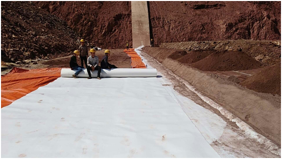 复合国内精品久久久久久久影视麻豆膜加入灌区节水可提升水资源调配效率