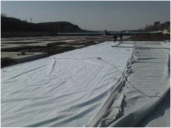 复合国内精品久久久久久久影视麻豆膜可保障与防渗体之间的衔接性