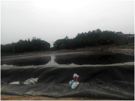 麻豆视频网址在线观看国内精品久久久久久久影视麻豆膜作为工程材料所应具有的特性