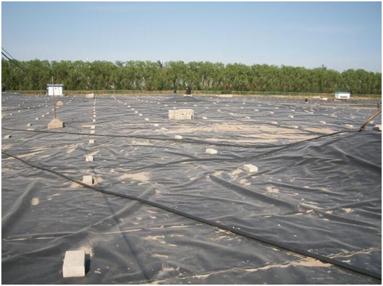 国内精品久久久久久久影视麻豆膜在填埋场填埋区域临时覆盖要求