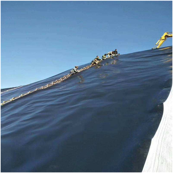 国内精品久久久久久久影视麻豆膜覆盖对渗滤液处理的影响