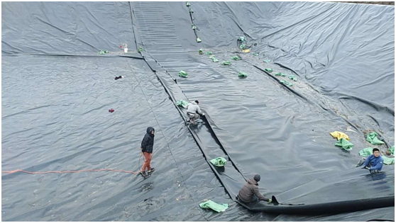 国内精品久久久久久久影视麻豆膜在中等透水平原地区防渗处理十分必要