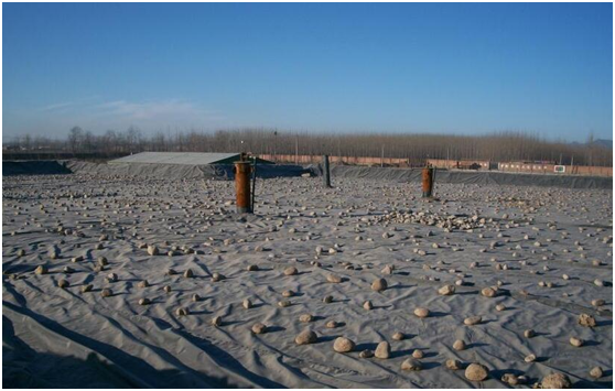 国内精品久久久久久久影视麻豆膜作为尾矿坝防渗结构层设计首要防渗材料