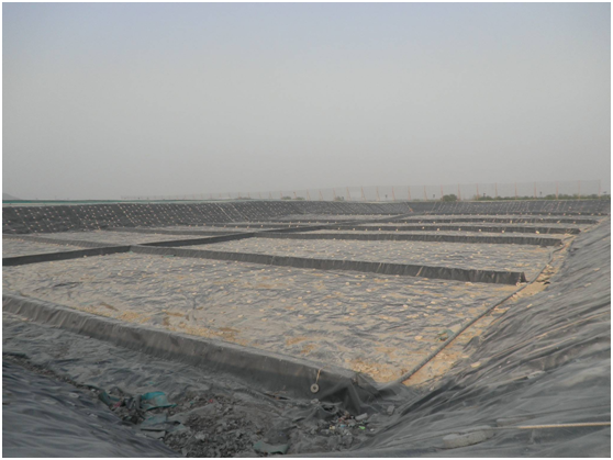 国内精品久久久久久久影视麻豆膜分子结构和制造工艺的定义