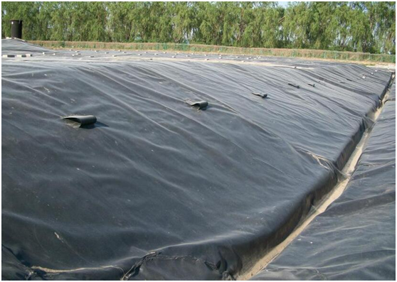 客户想了解的国内精品久久久久久久影视麻豆膜施工整体体系全在这里