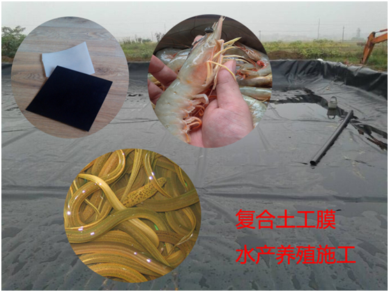 国内精品久久久久久久影视麻豆膜原材料控制及采购要点