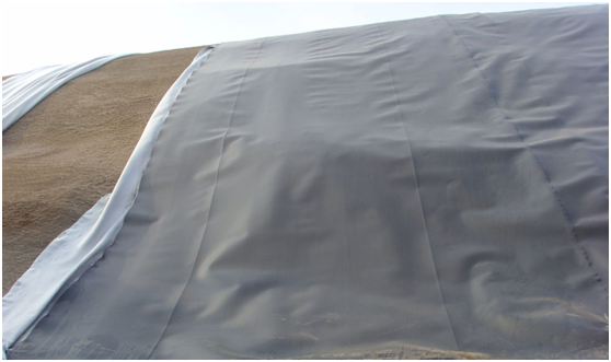 国内精品久久久久久久影视麻豆膜堆石坝的特点是坝坡很陡