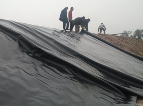 国内精品久久久久久久影视麻豆膜在道路防渗施工中应用的核心焦点