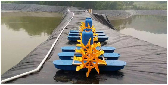 标准化锦鲤养殖塘采用复合国内精品久久久久久久影视麻豆膜防渗的优势