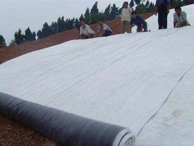 多塘生态补水系统为什么推荐天然钠基麻豆视频APP在线下载？