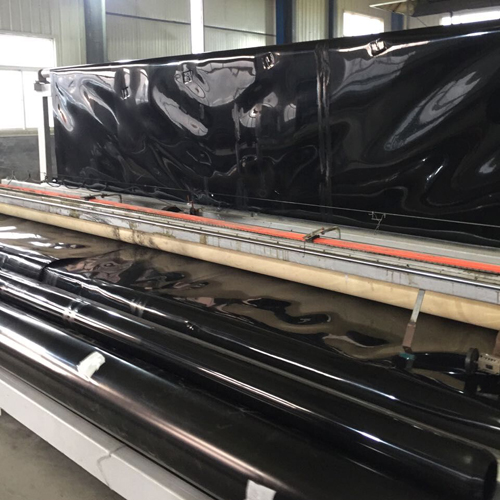 国内精品久久久久久久影视麻豆膜防渗是否可消除藻类生长优势