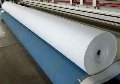 决定国内精品久久久久久久影视麻豆布功能的主要指标是什么？