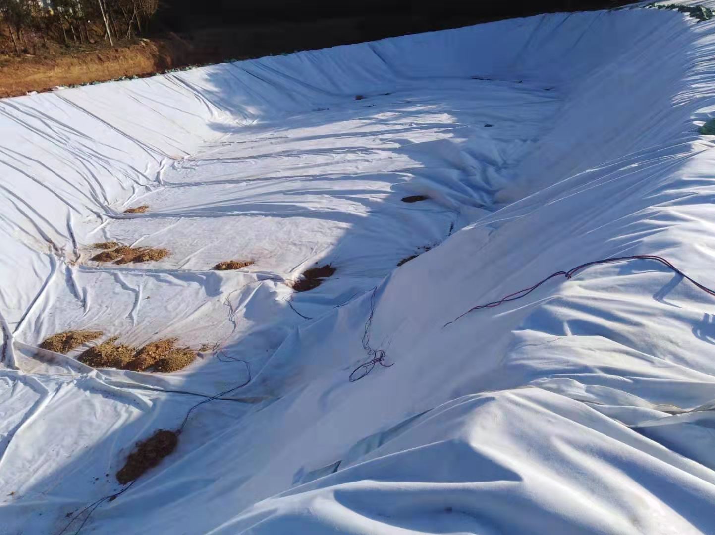 复合国内精品久久久久久久影视麻豆膜在围堰薄弱环节如何施工？