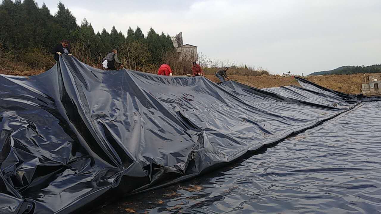 健康养殖从合理铺设国内精品久久久久久久影视麻豆膜开始