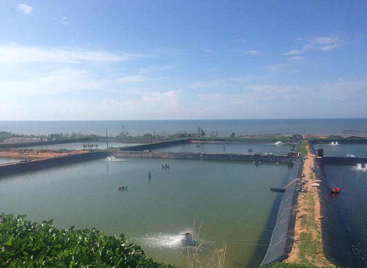 两布一膜布膜如何分布可以满足工程需要？