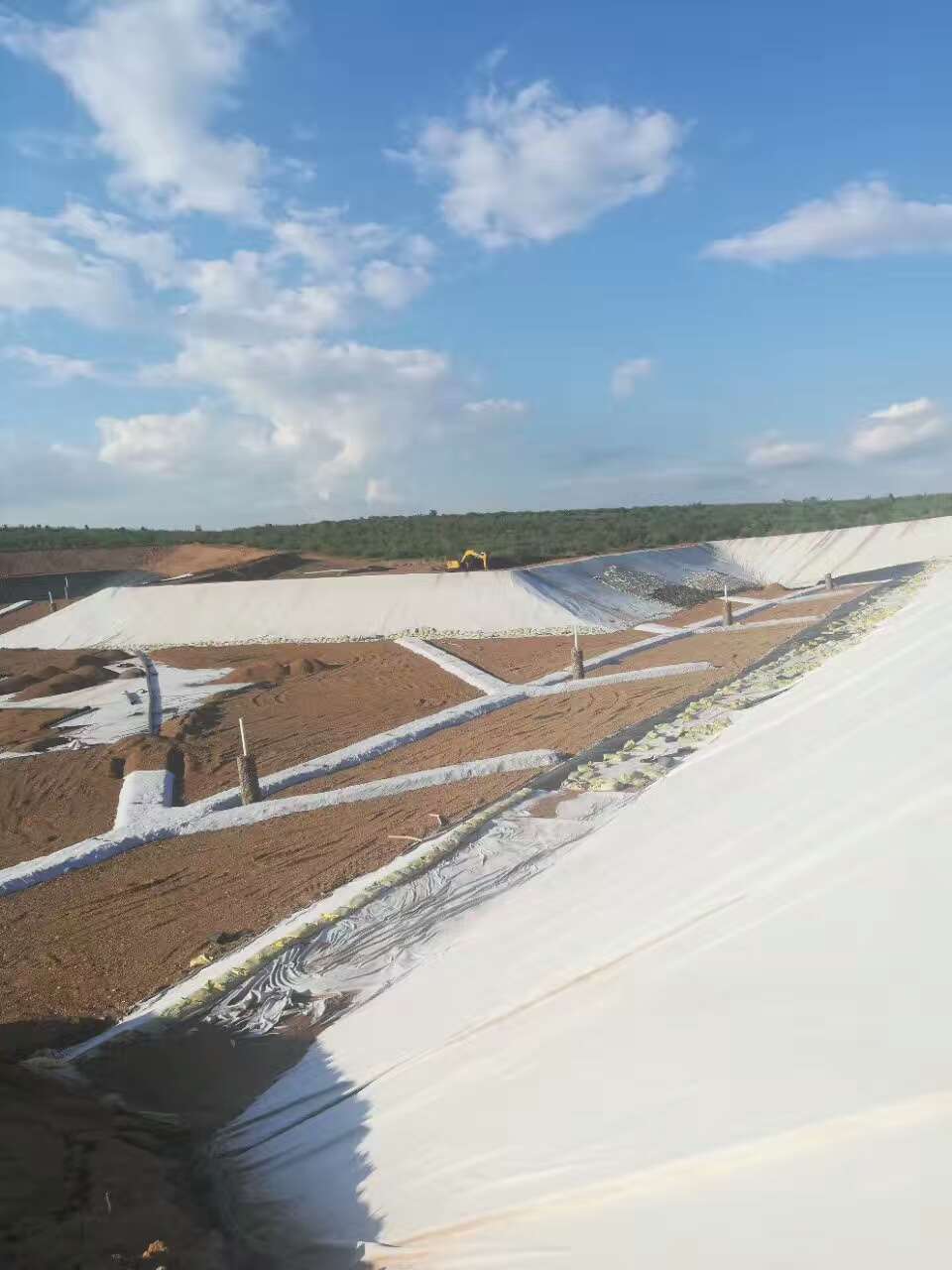 复合国内精品久久久久久久影视麻豆膜对水库进行有效的渗流控制十分必要