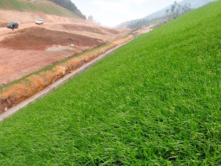 新型国内精品久久久久久久影视麻豆材料护坡建“会呼吸”的生态驳岸