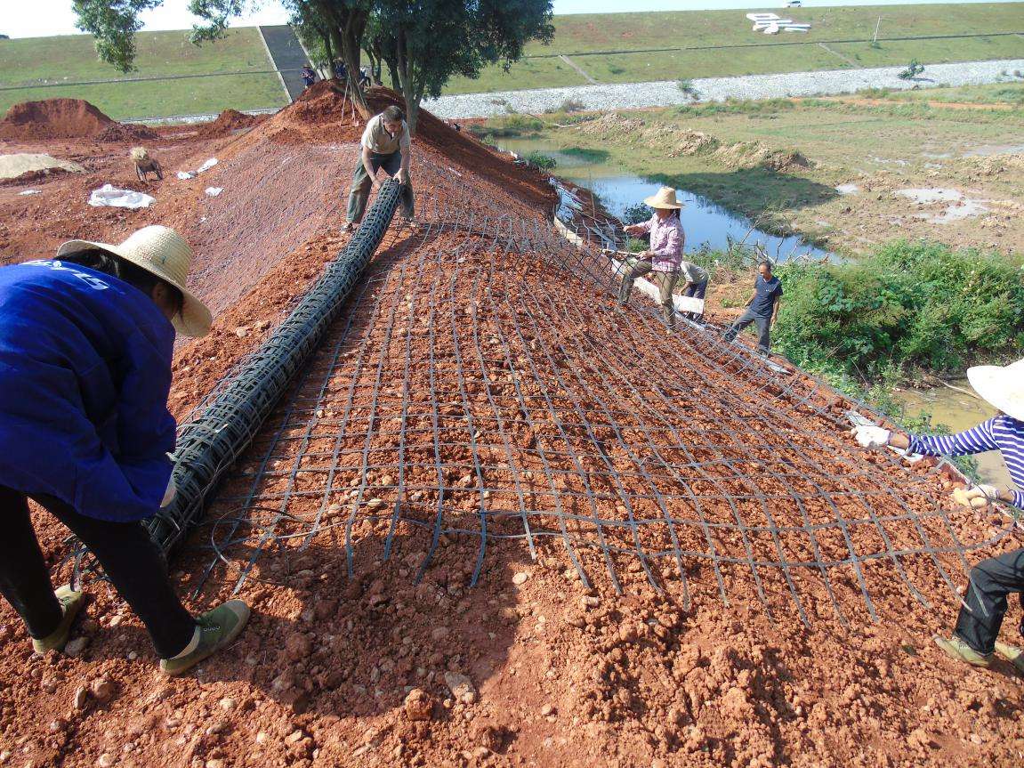 国内精品久久久久久久影视麻豆格栅加筋土防护陡堤处理技术