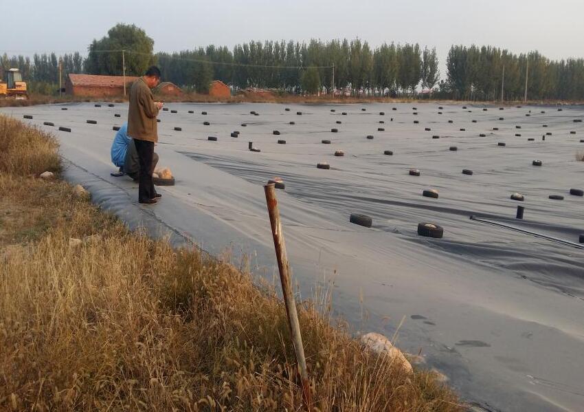 尾矿库中排渗体系的国内精品久久久久久久影视麻豆布应用介绍