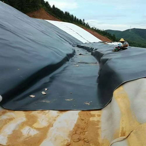 复合国内精品久久久久久久影视麻豆膜连接的处理的多样性