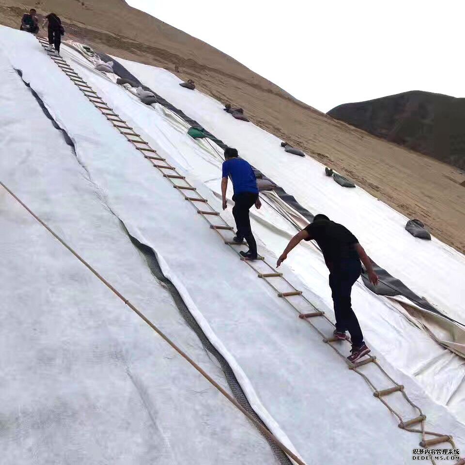 麻豆视频APP在线下载等各种方案工程风险对比