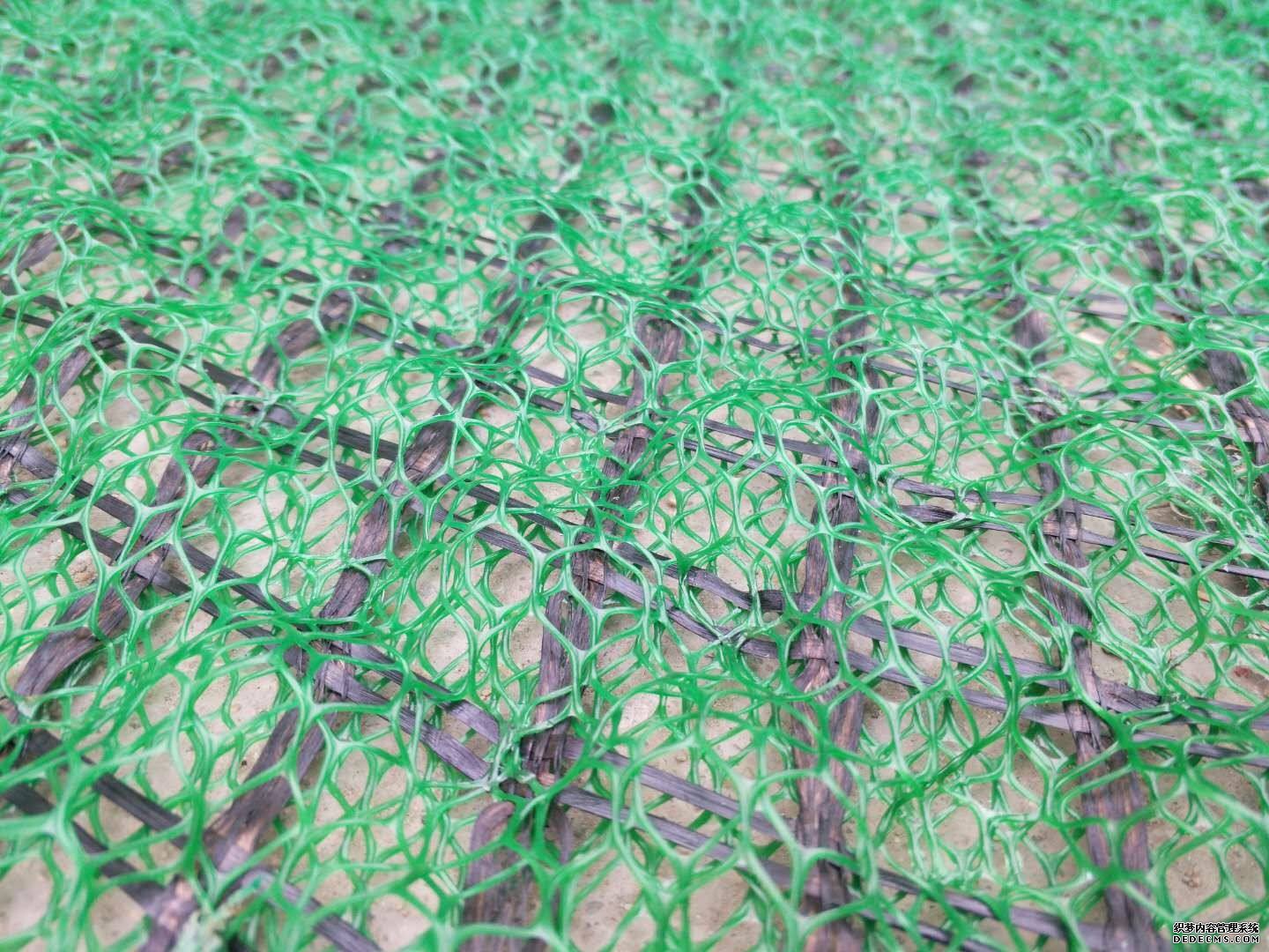 国内精品久久久久久久影视麻豆网垫和国内精品久久久久久久影视麻豆格栅可提高护坡的整体性