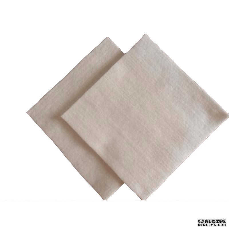 国内精品久久久久久久影视麻豆布层数对整体结构渗透系数具有一定影响