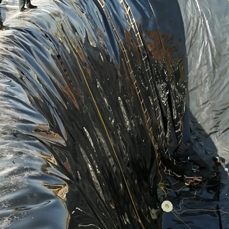 光面(糙面)国内精品久久久久久久影视麻豆膜与土体黏聚力实验