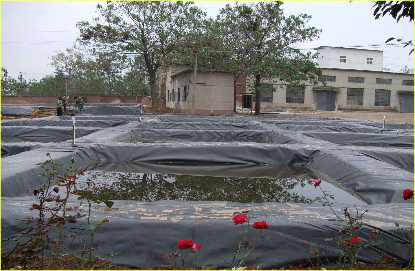 怎么不破坏国内精品久久久久久久影视麻豆膜的前提检测质量？