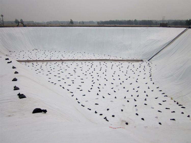 国内精品久久久久久久影视麻豆布可根据工程需要做成相应的形状