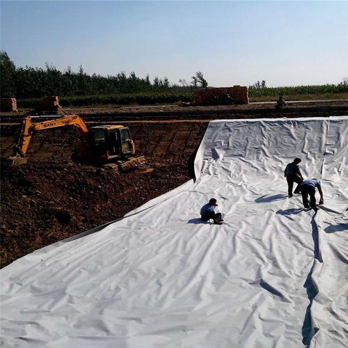 复合国内精品久久久久久久影视麻豆膜在施工过程中质量控制要点