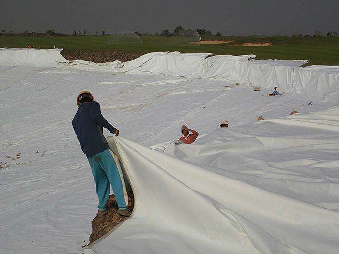 复合国内精品久久久久久久影视麻豆膜解决小坝塘用水困难等问题