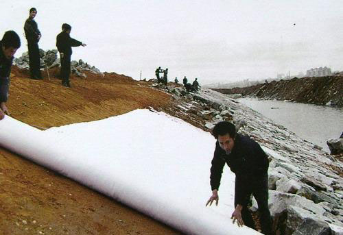 按成网和固着方法把非织造国内精品久久久久久久影视麻豆布分类