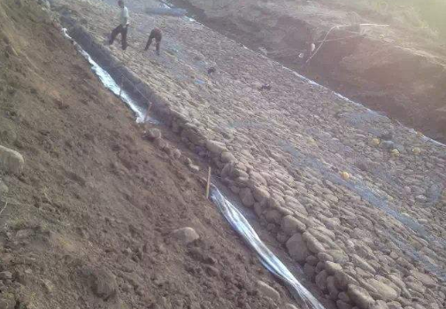 防水国内精品久久久久久久影视麻豆膜在滑坡体治理方案