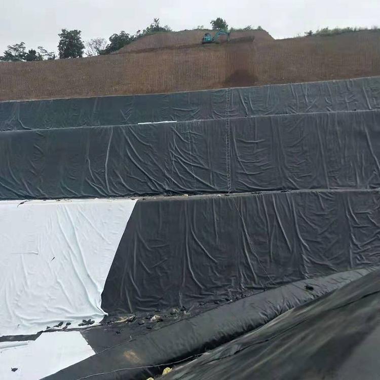 从三个方面考虑国内精品久久久久久久影视麻豆膜在软体沼气的应用