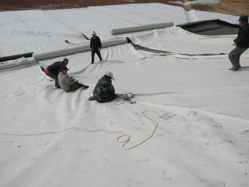 国内精品久久久久久久影视麻豆布、国内精品久久久久久久影视麻豆格栅能够有效的分散地基承载力