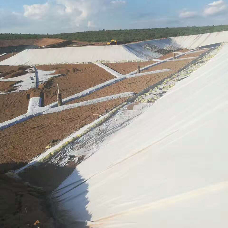 国内精品久久久久久久影视麻豆合成材料在内河航道整治疏浚工程中的应用