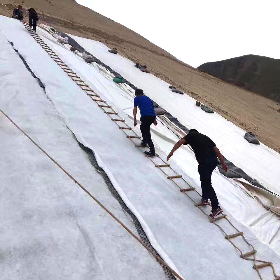 复合国内精品久久久久久久影视麻豆膜的施工及质量控制