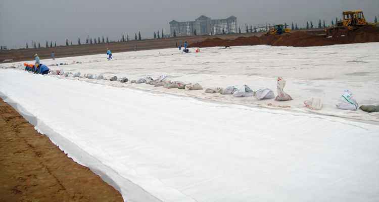 复合国内精品久久久久久久影视麻豆膜的施工及质量控制