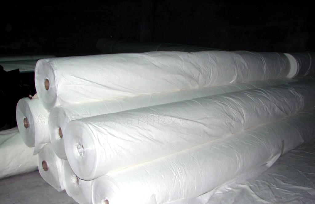 复合国内精品久久久久久久影视麻豆布公路病害处理中有广泛的应用前景