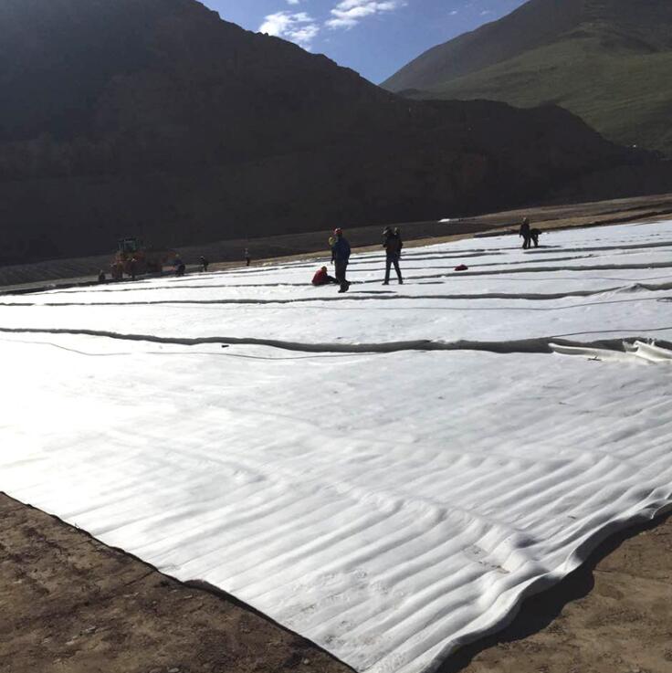 国内精品久久久久久久影视麻豆布在软土施工中的方案选择